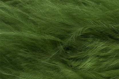 Marabou Feathers - Hand-Selected - Green Olive