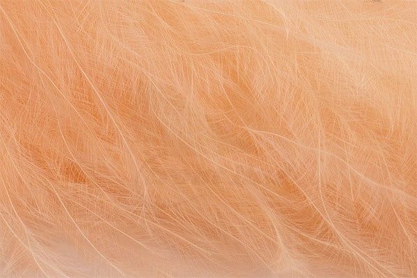Marabou Feathers - Hand-Selected - Peach