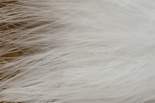 Marabou Feathers - Hand-Selected - White