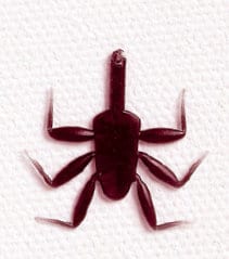 Realistic Soft Mayfly Nymph Legs