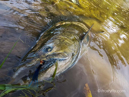 Micro Intruder Fly in action