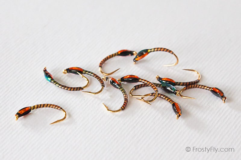 Orange Quill Buzzers