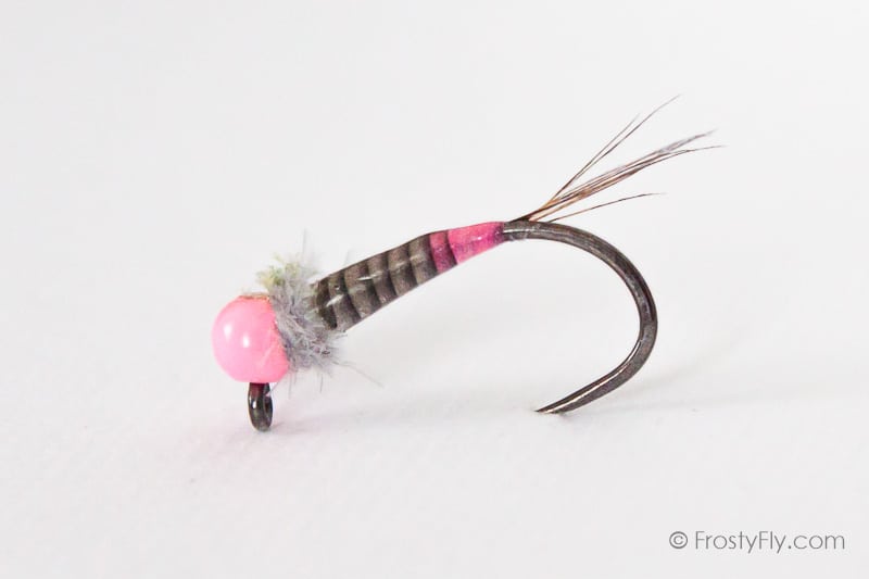 Pink Panther Hot Spot Quill Jig Barbless Nymph