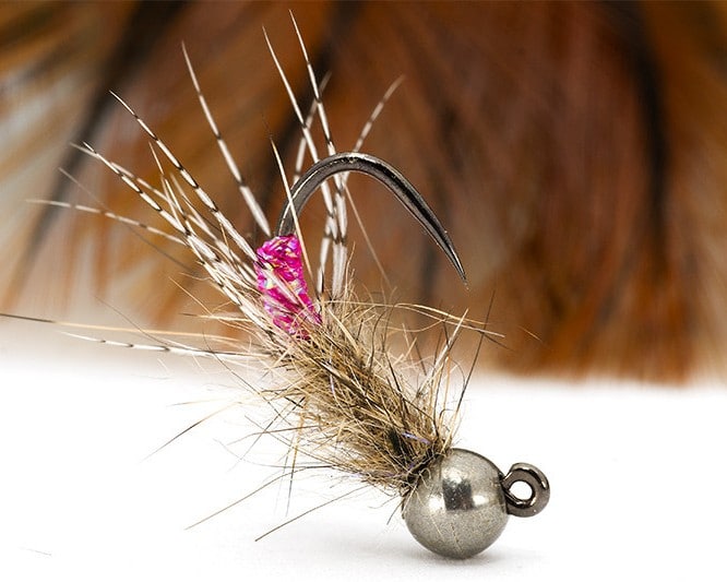 Pink Peeping Caddis Jig Nymph