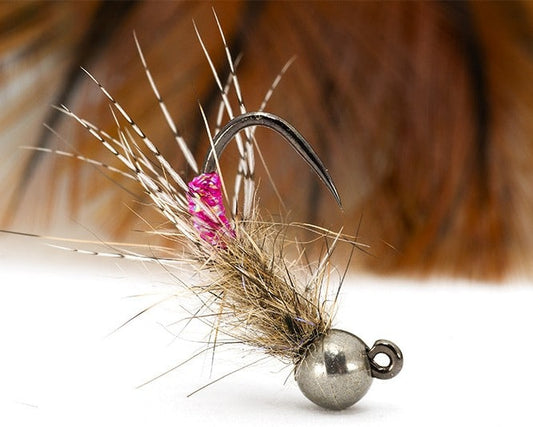 Pink Peeping Caddis Jig Nymph