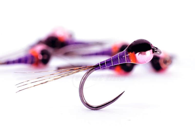 Purple and Pink Perdigon Nymph
