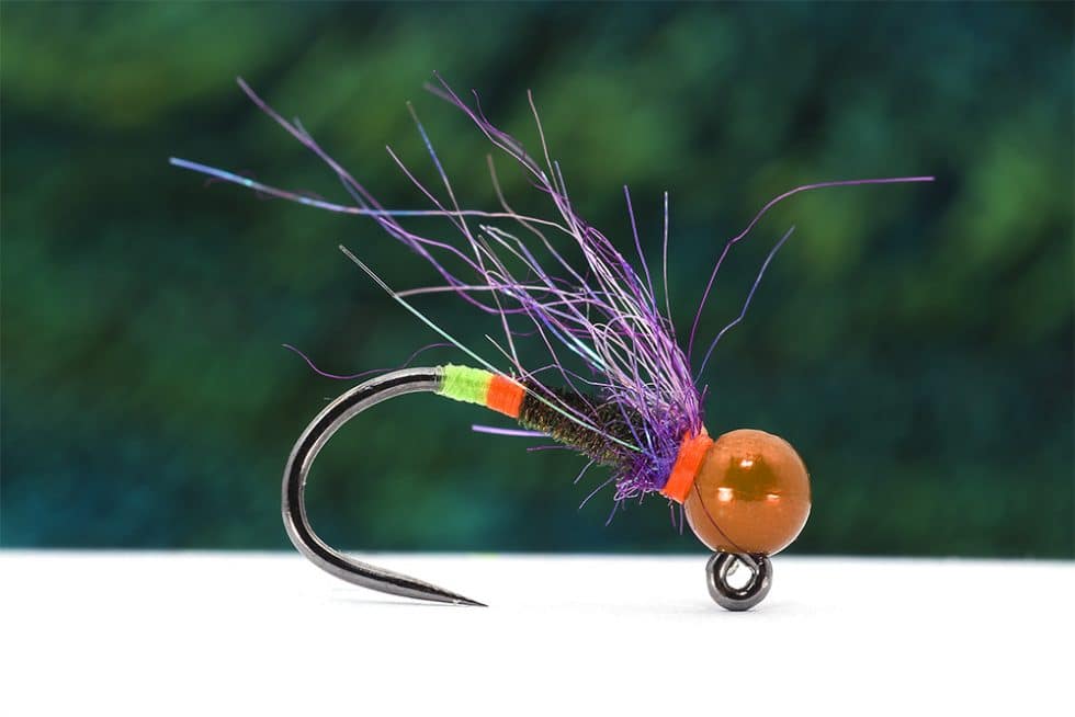 Purple Winged Coffee Nymph tied with Peacock Herl