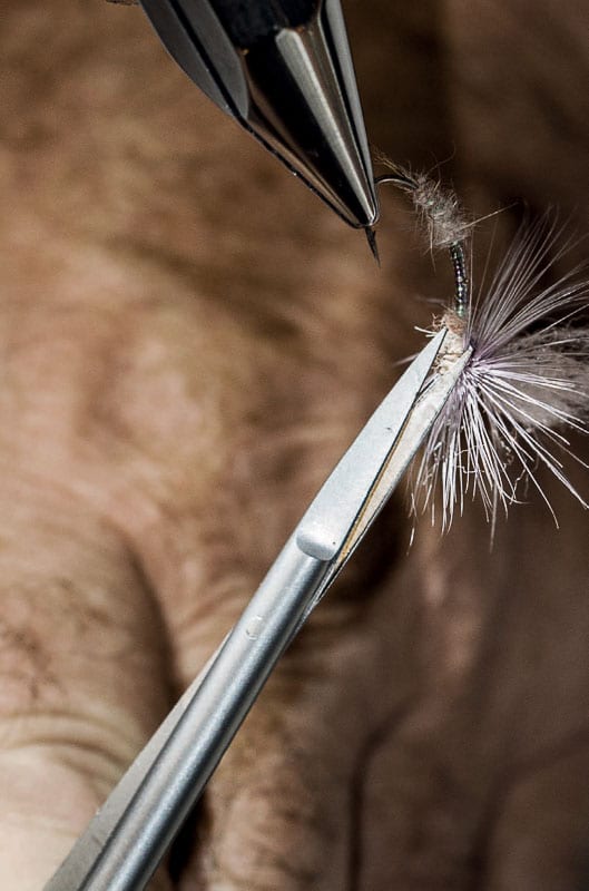 RENOMED Fishing Collection - Fly Tying Scissors