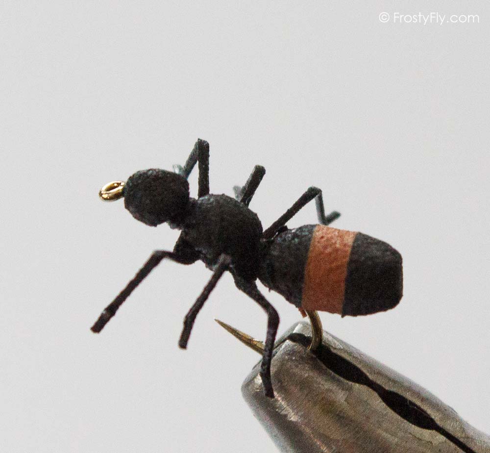 Realistic Ant Fly - Cinnamon