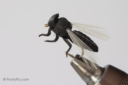 Realistic Big Black Flying Ant
