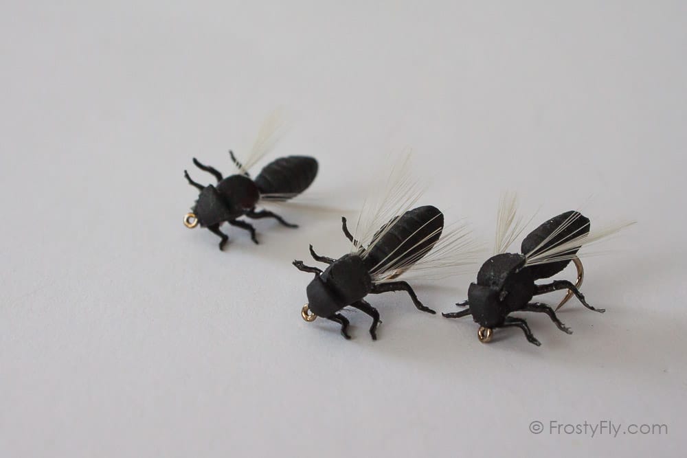 Realistic Big Black Flying Ant