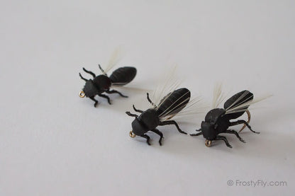 Realistic Big Black Flying Ant