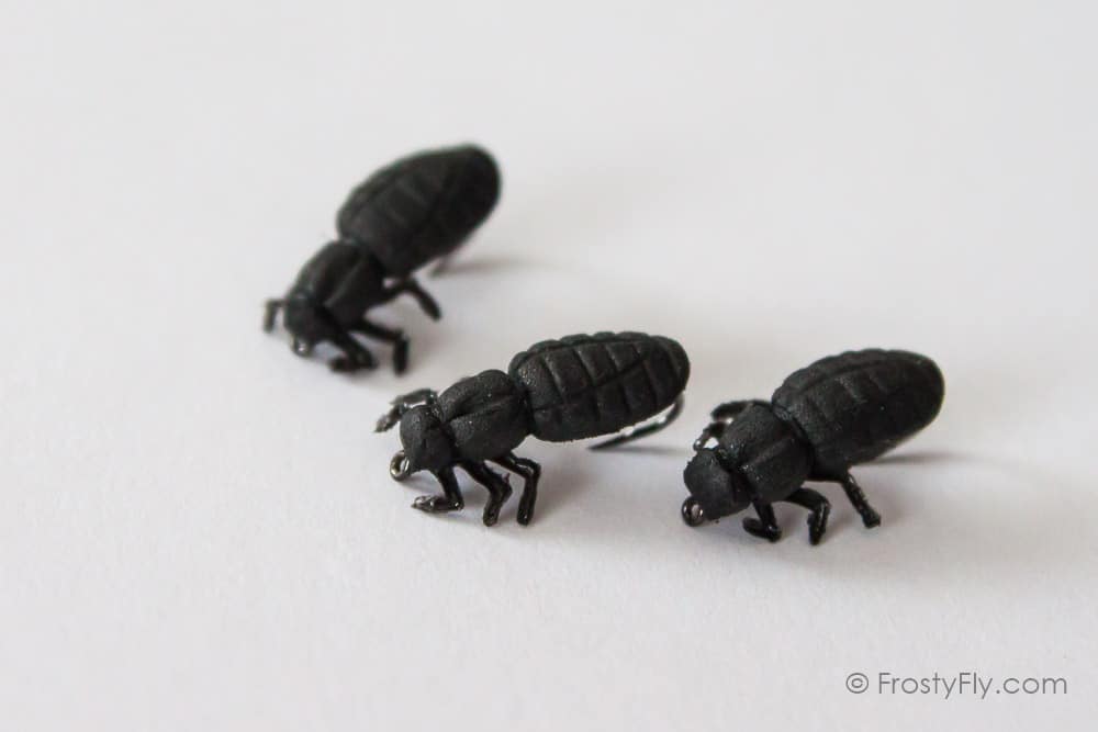 Realistic Black Bug Fly