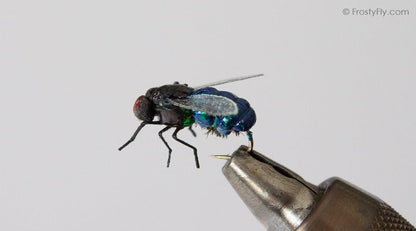 Realistic Blue Bottle Fly