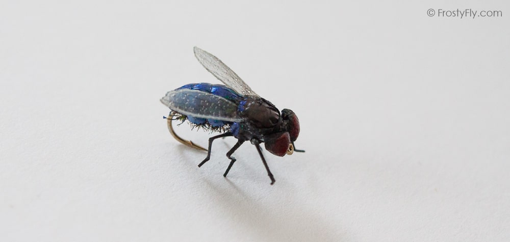 Realistic Blue Bottle Fly