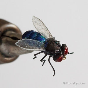 Realistic Blue Bottle Fly