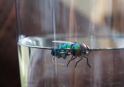 Realistic Blue Bottle Fly