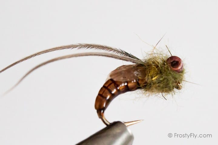 Realistic Caddis Emerger - Brown