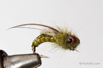 Realistic Caddis Emerger - Green