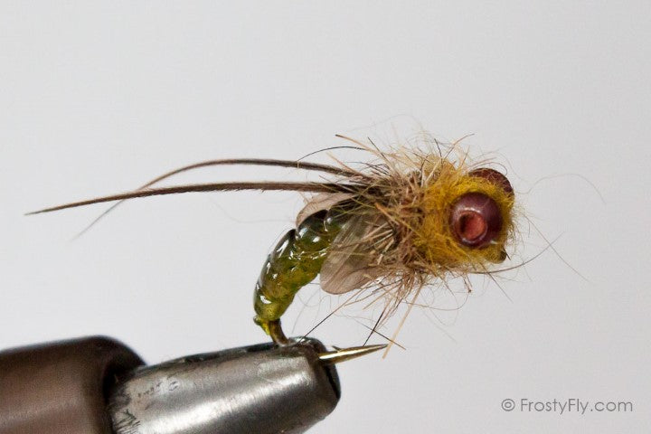 Realistic Caddis Emerger
