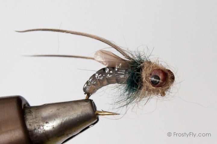 Realistic Caddis Emerger - Smokey