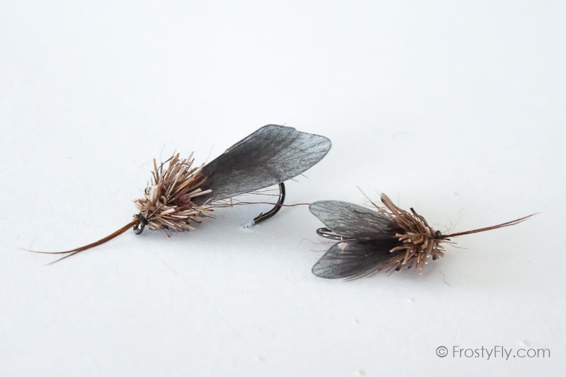 Realistic Caddis Fly Dry - Black