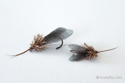Realistic Caddis Fly Dry - Black