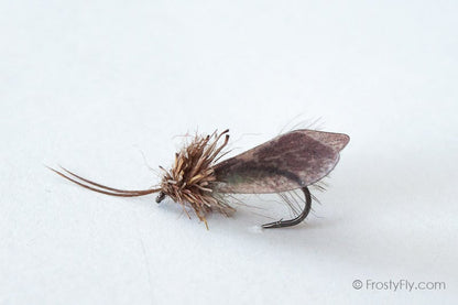 Realistic Caddis Fly Dry