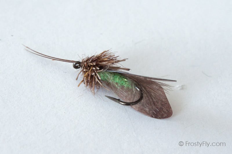 Realistic Caddis Fly Dry - Brown