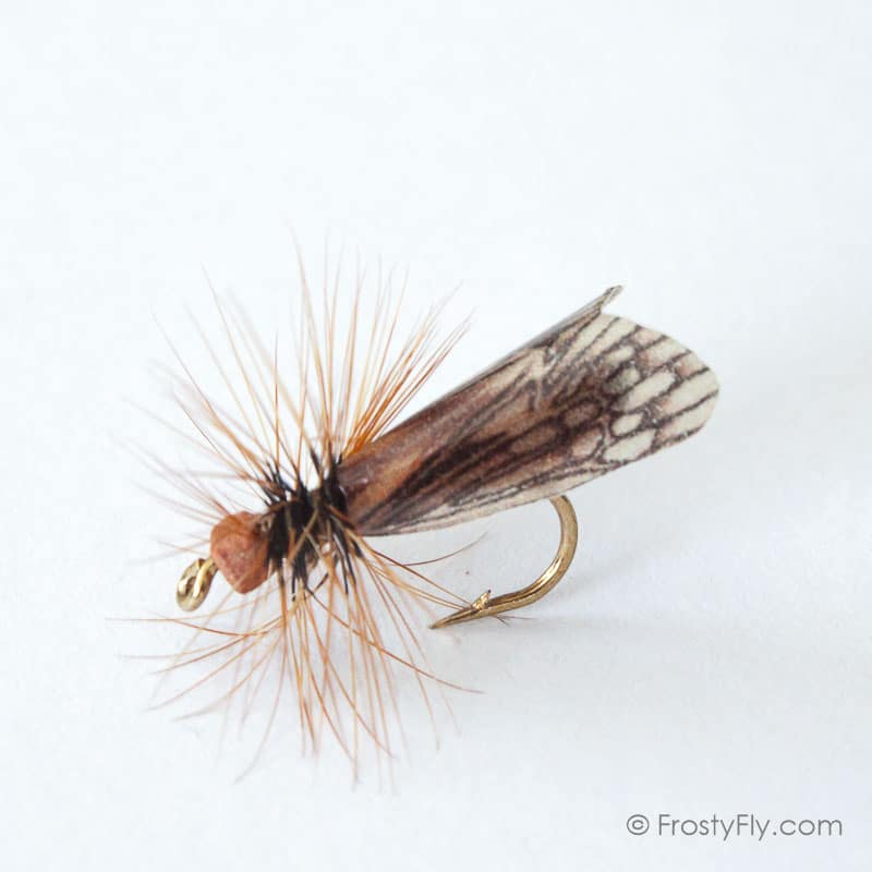 Realistic Caddis Fly Dry II - Brown