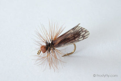 Realistic Caddis Fly Dry II