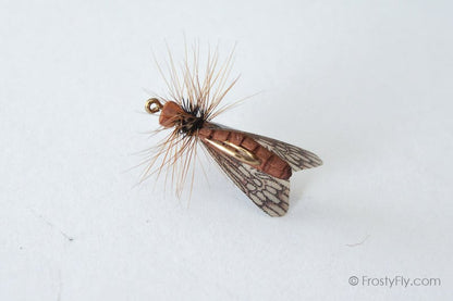 Realistic Caddis Fly Dry II - Brown