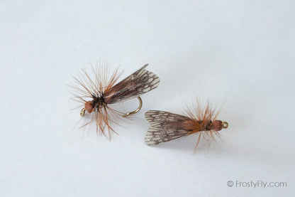 Realistic Caddis Fly Dry II - Brown