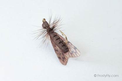 Realistic Caddis Fly Dry II - Dark