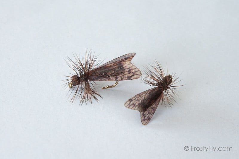 Realistic Caddis Fly Dry II - Dark