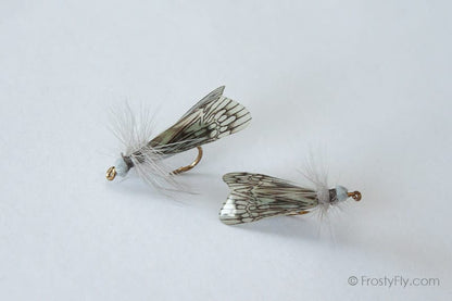Realistic Caddis Fly Dry II - Gray