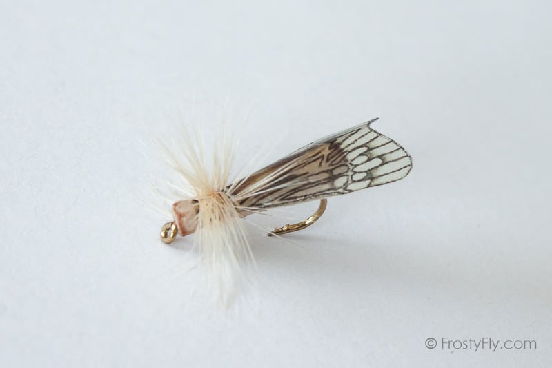 Realistic Caddis Fly Dry II