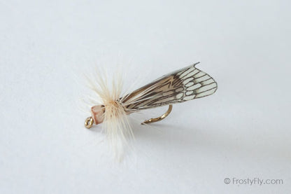 Realistic Caddis Fly Dry II
