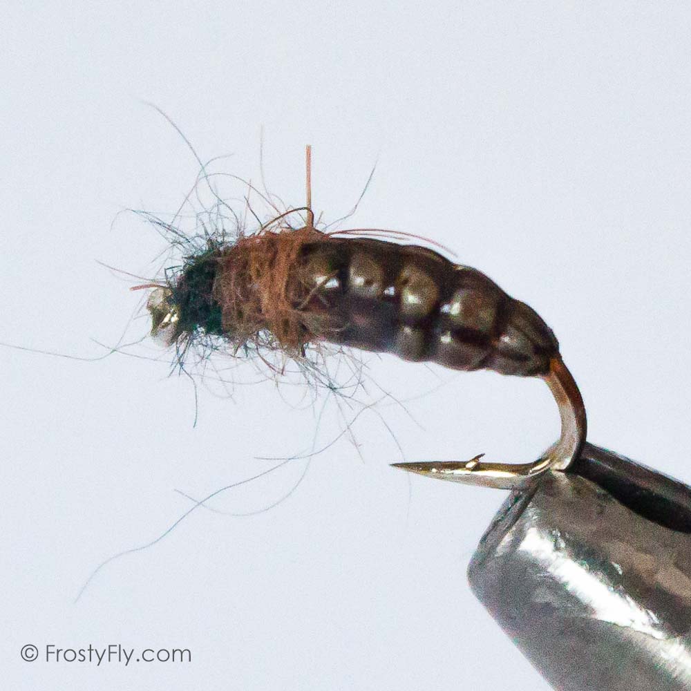Realistic Caddis Larvae - Brown