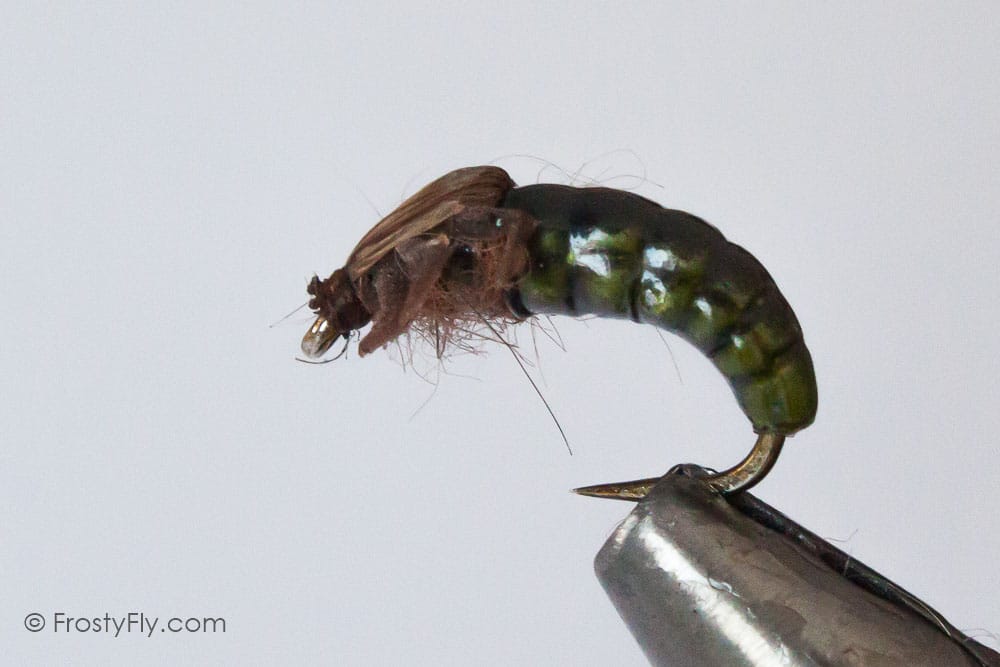 Realistic Caddis Larvae, Weighted, with Silicone Legs