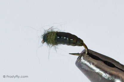 Realistic Caddis Larvae, Weighted
