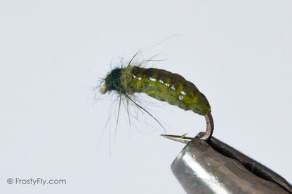 Realistic Caddis Larvae, Weighted