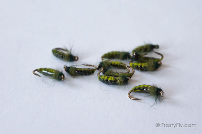 Realistic Caddis Larvae - Light Green