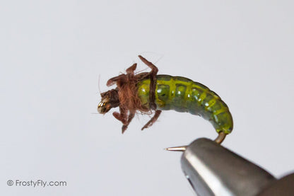 Realistic Caddis Larvae with Silicone Legs - Light Green