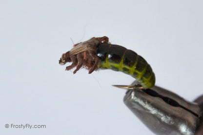 Realistic Caddis Larvae, Weighted, with Silicone Legs