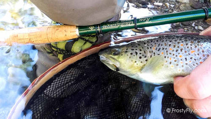 Realistic Caddis Larvae Weighted with Silicone Legs - In Action!