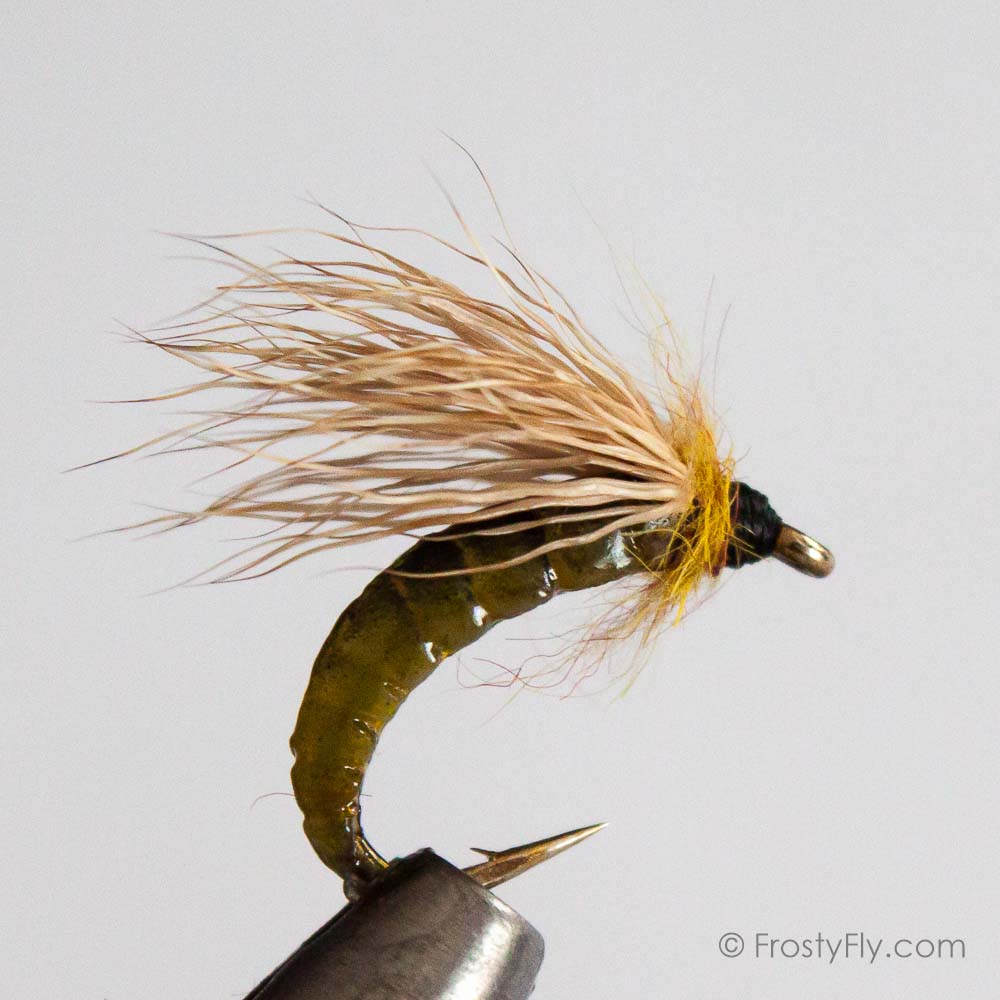 Realistic Caddis Pupa - Light Green