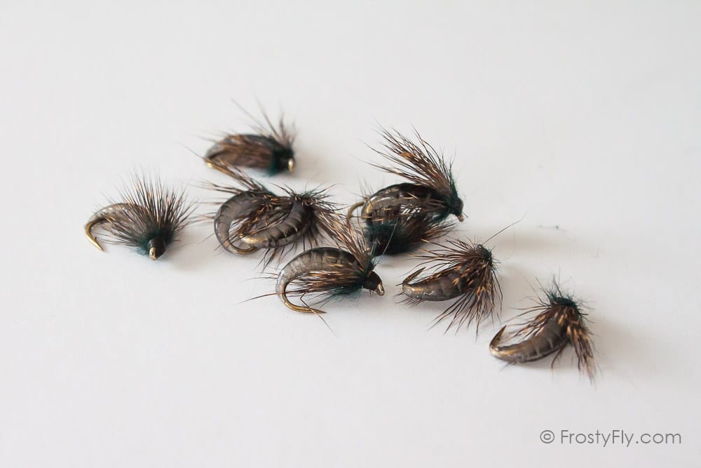 Realistic Caddis Pupa - Smokey