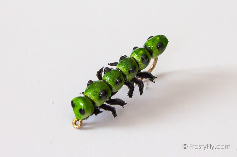 Realistic Caterpillar Fly
