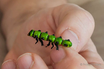 Realistic Caterpillar Fly - Green